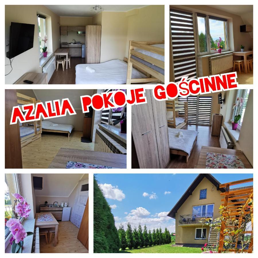 Appartement Azalia Zator Extérieur photo